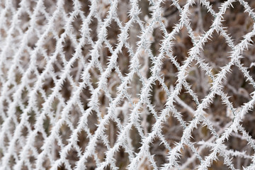 fence in ice