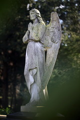 Engel auf einem Friedhof