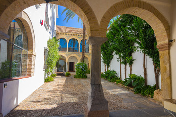 Fototapeta na wymiar typical Andalusian courtyard decorated with flowers arches and c
