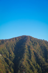 紅葉で色づく山