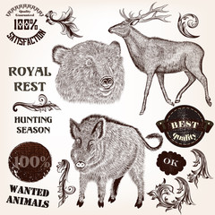 Collection of hand drawn animals, labels and swirls in antique s
