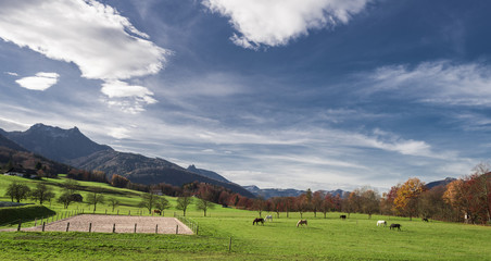 Reiten im Salzkammergut