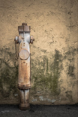 Hydrant