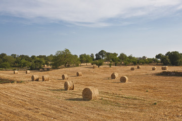 Campagna