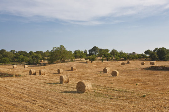 Campagna