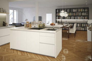 Blick in Altbauwohnung - inside view in loft apartment