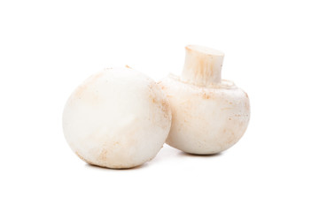 mushroom on white