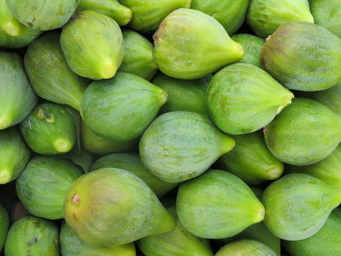 Fichi