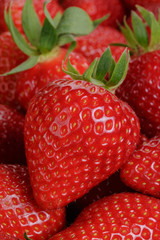 background from freshly harvested strawberries