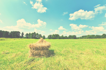 Rural landscape