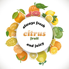 Vector background with citrus fruits in a circle and the words