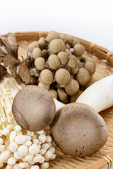 茸の盛り合わせ