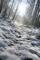 Winter mountain stream.