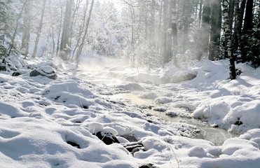 Winter mountain stream.