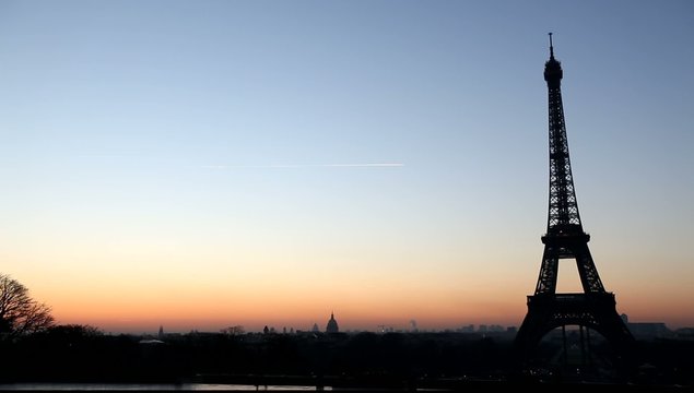 Birds at Eiffel tower at sunrise, Paris
