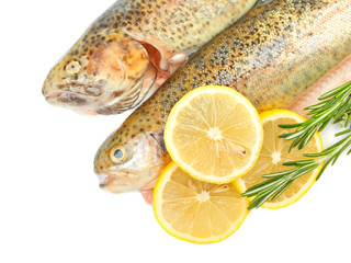 Trout fish with lemon isolated on white background on white back