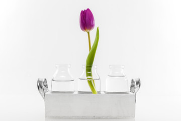 Blumenvasen Dekoration 