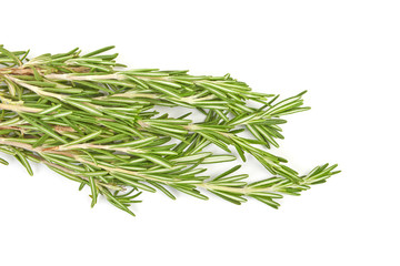 Brunch of rosemary isolated on white background