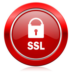 ssl icon