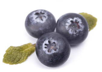 blackberry