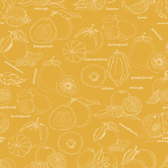 Seamless pattern with citrus fruit on an orange background