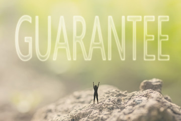 concept of guarantee