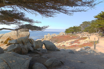 17 Mile Drive