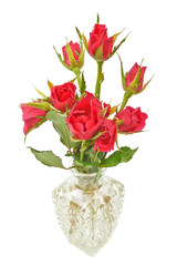 Bouquet of red roses in a jug of water on a white background