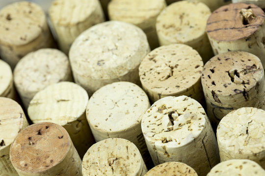 Wine Bottle Corks macro closeup with Staggered Heights