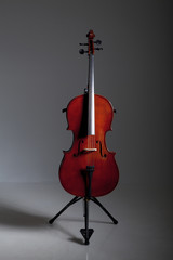 Cello im Studio auf Ständer stehend