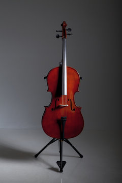 Cello im Studio auf St&auml;nder stehend