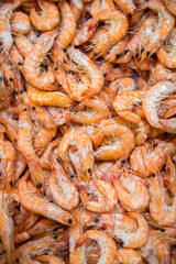 Prawns