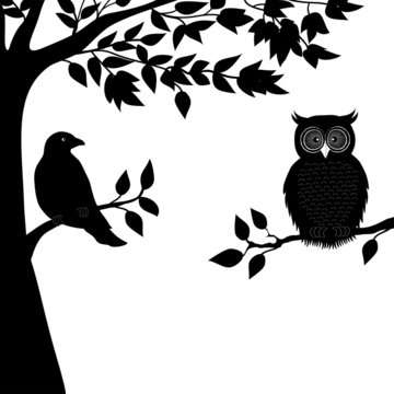 A Dove And Owl On Branch