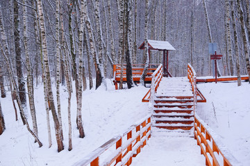 wooden staircase in the winter forest