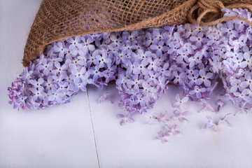 Flowering bunch of lilac.