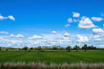 land and sky