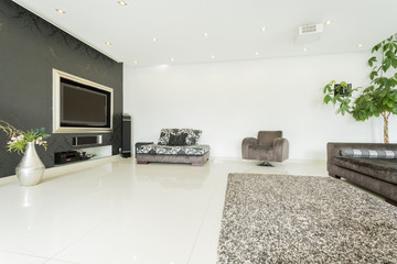 Space in modern living room