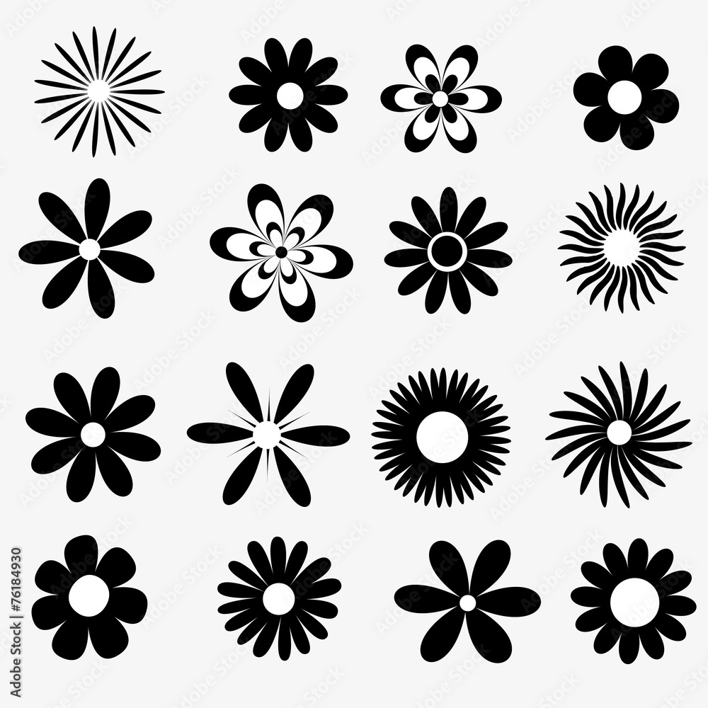 Wall mural flowers a set of black and white