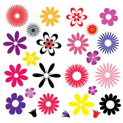 Fototapeta premium a set of colored flowers