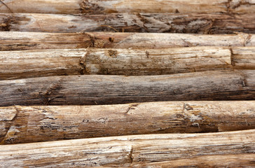 Obraz premium fond bois d'aloès