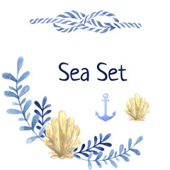 Hand drawn watercolor sea set. With water plant and shell anchor