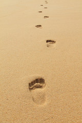 Footprints on the beach sand