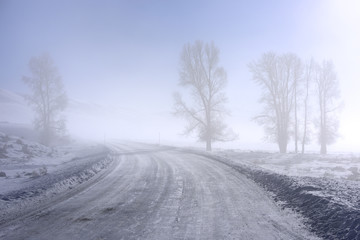 Obraz na płótnie Canvas Foggy Highway