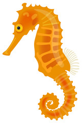 Fototapeta premium Vector illustration of a sea horse