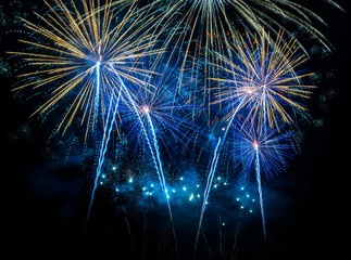 Fototapeta premium riding horse equipment