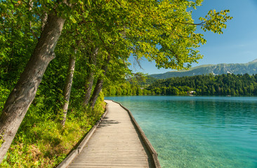Lake Bled path, Slovenia - 76192133