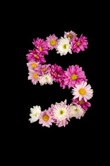 Numbers from flowers