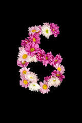 Fototapeta na wymiar Numbers from flowers