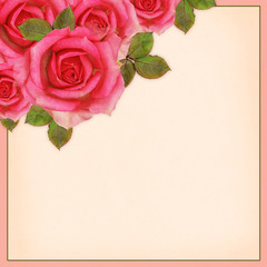 Obraz premium Rose flowers corner