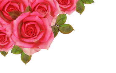 Rose flowers corner